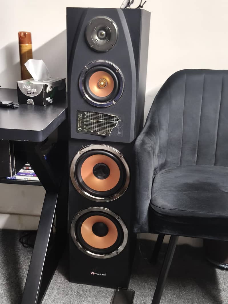 Audionic MS 220 Read Ad 1