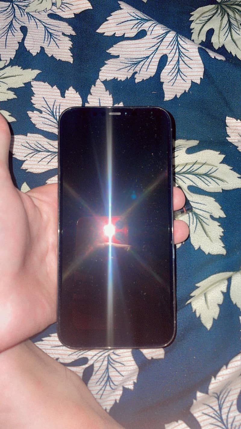 Apple iPhone 12 Pro Max 7
