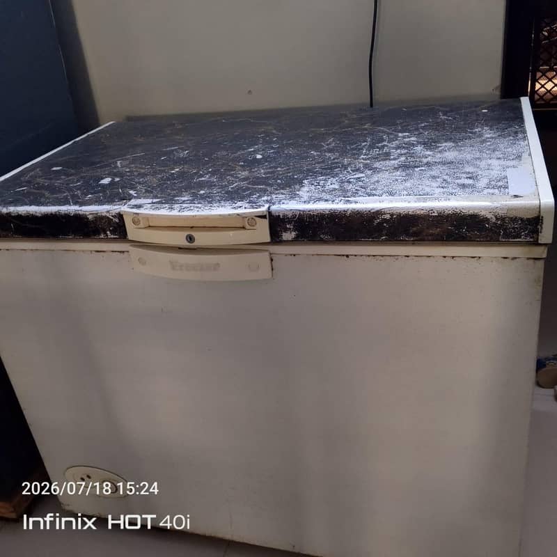 dree freezer 1