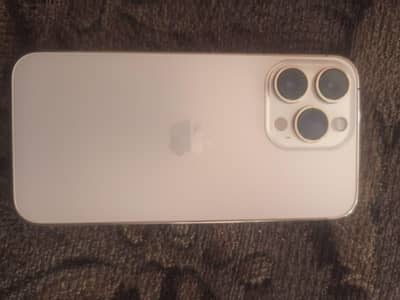 Apple iPhone 13 Pro