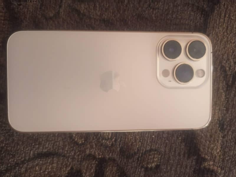 Apple iPhone 13 Pro 0