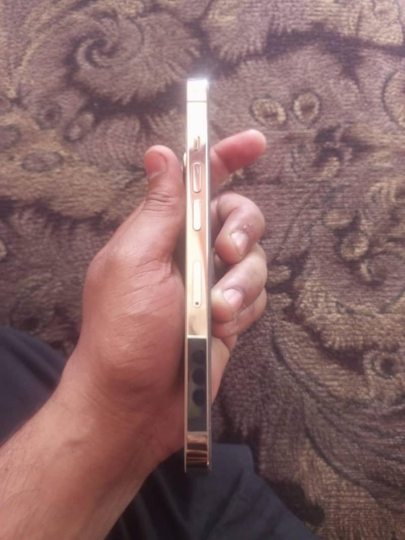 Apple iPhone 13 Pro 2
