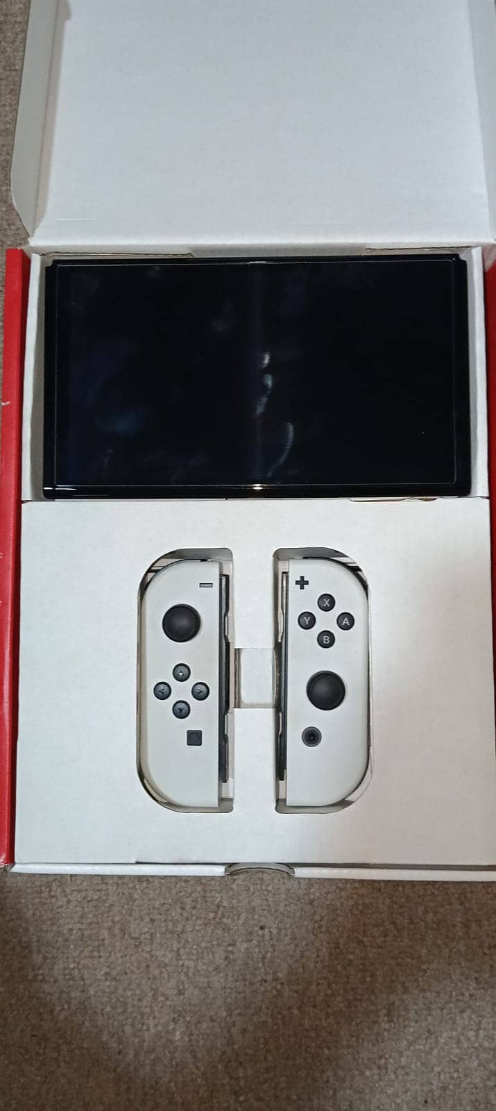 nintendo switch 1 0