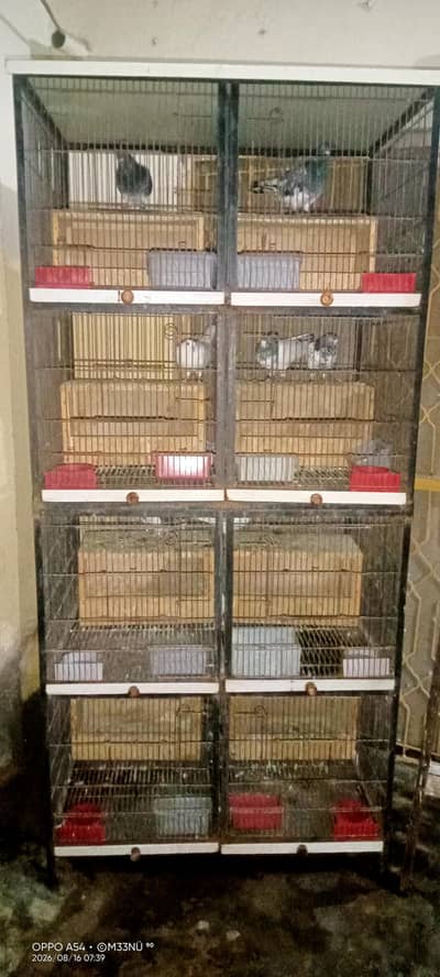 Cage for Sale