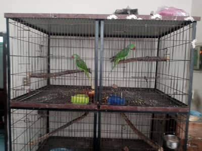 wooden Cage ha Cage 3295367076,