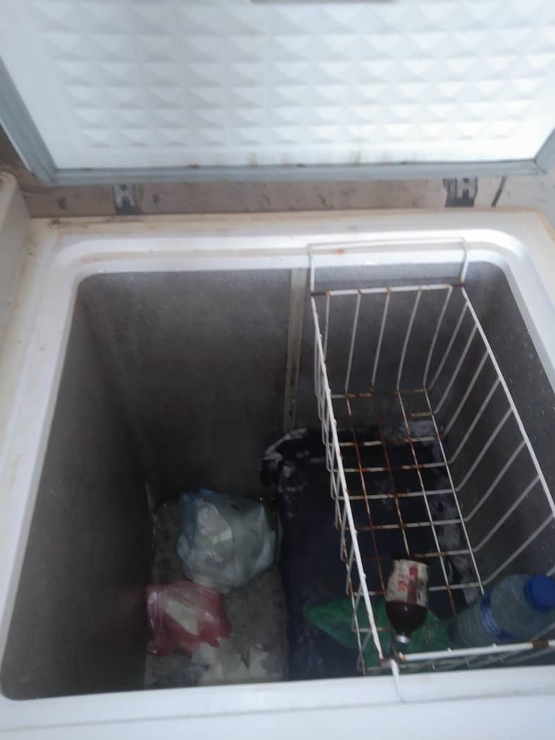 d freezer 4