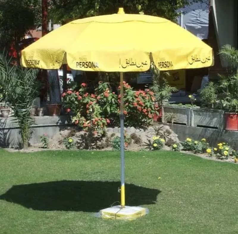 Umbrella 1