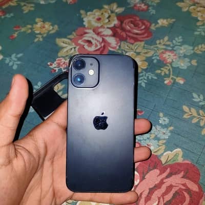 iPhone 12 mini