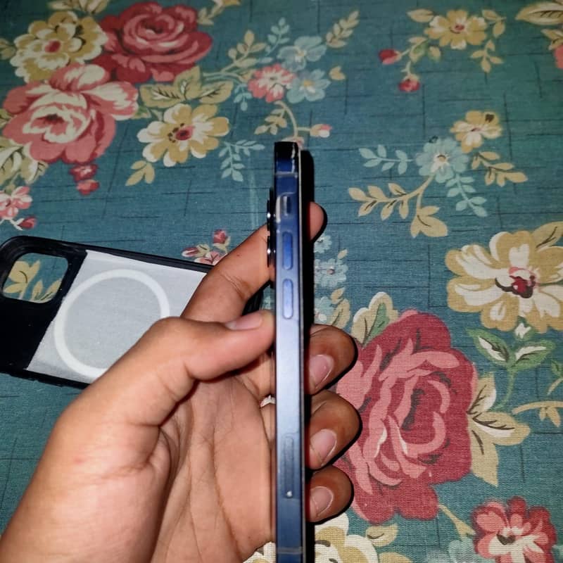 iPhone 12 mini 1