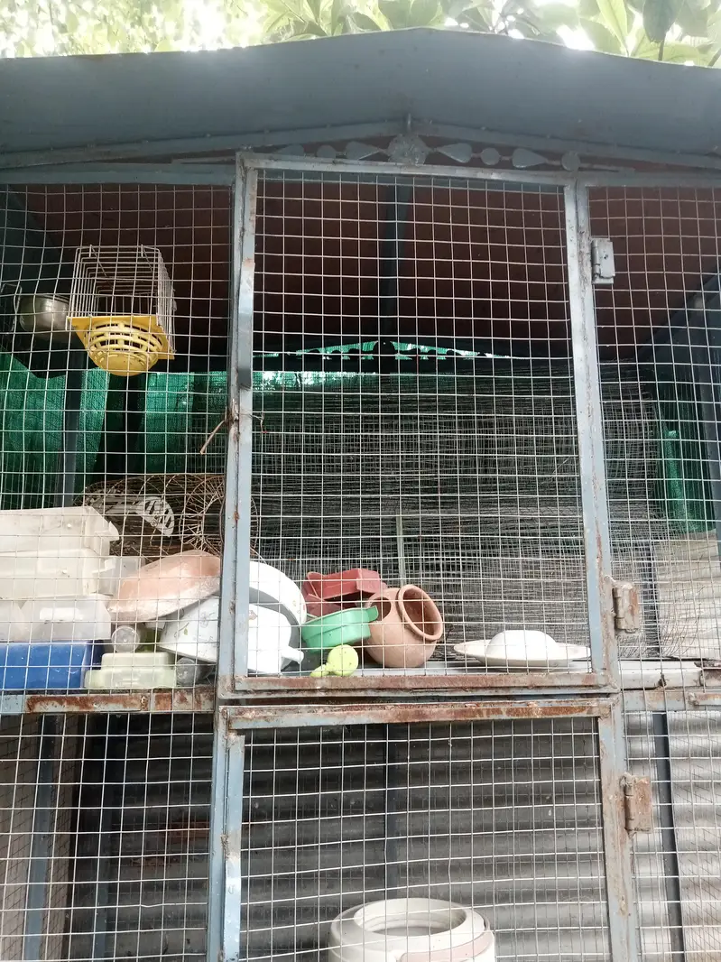 cage for hens — photo 2