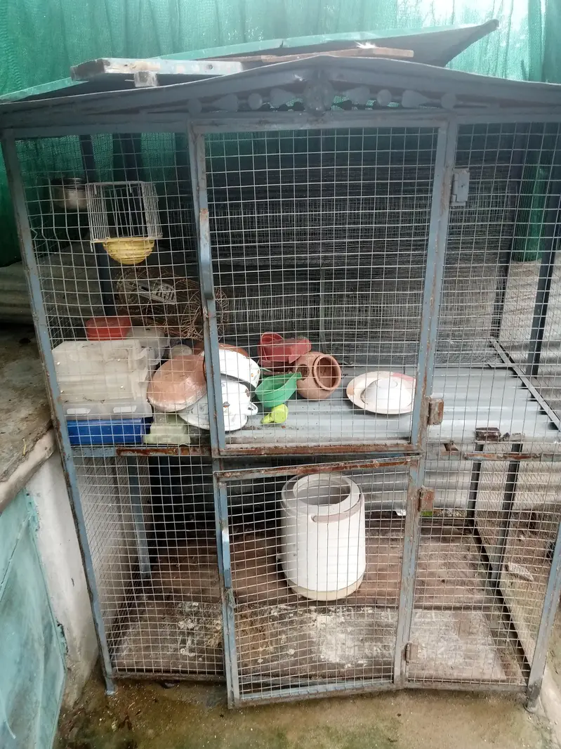 cage for hens — photo 3