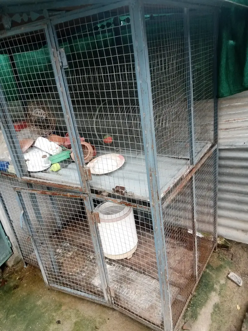 cage for hens — photo 4
