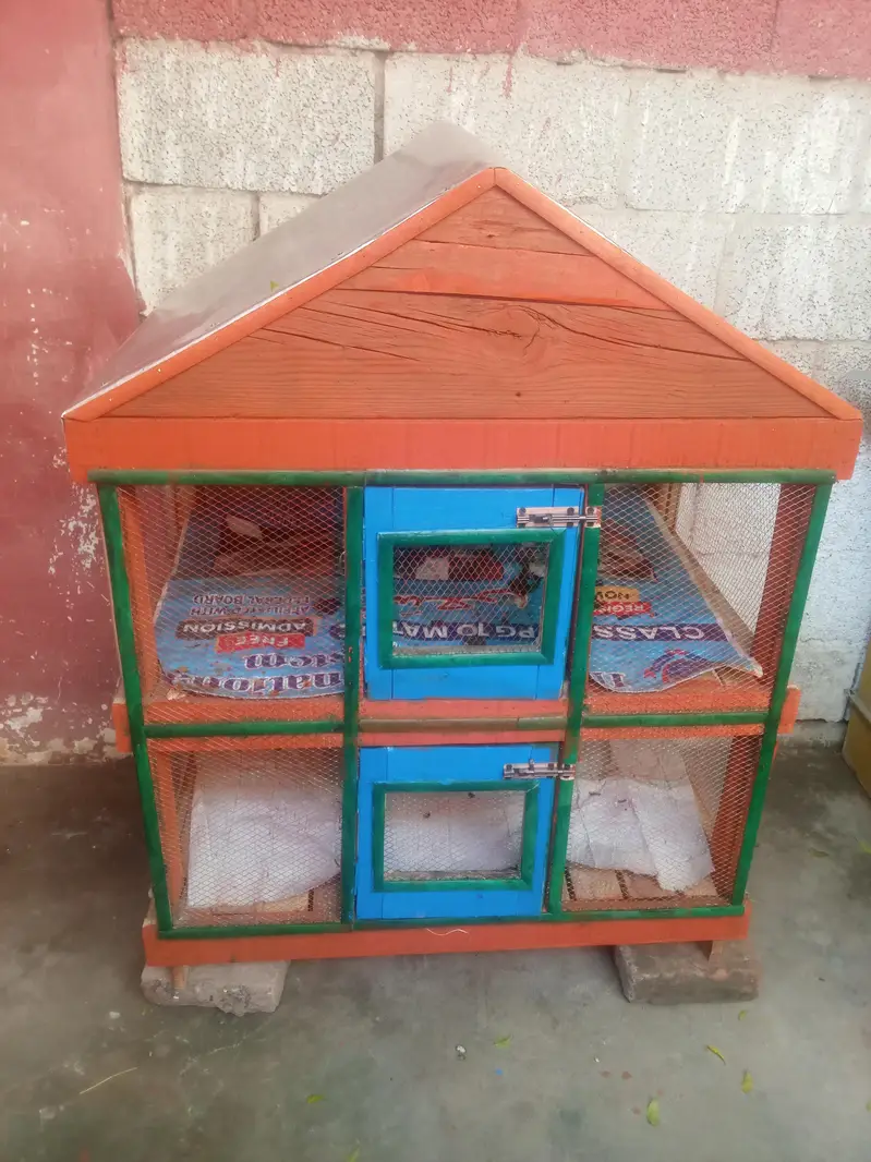 ​مضبوط لکڑی کا دو منزلہ (Double Story) پرندوں کا پنجرہ — photo 3