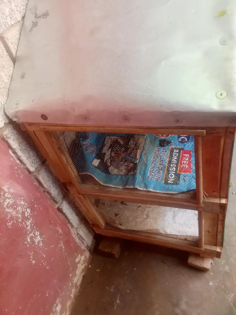​مضبوط لکڑی کا دو منزلہ (Double Story) پرندوں کا پنجرہ — photo 4