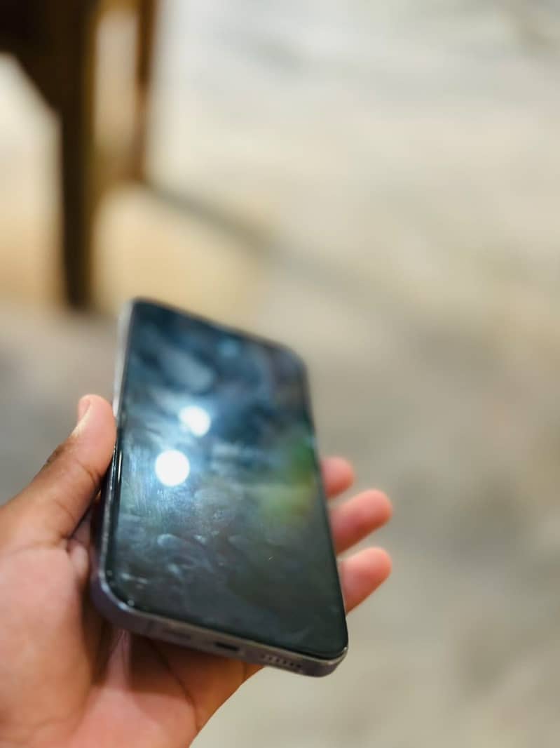 Apple iPhone 13 Pro Max 1