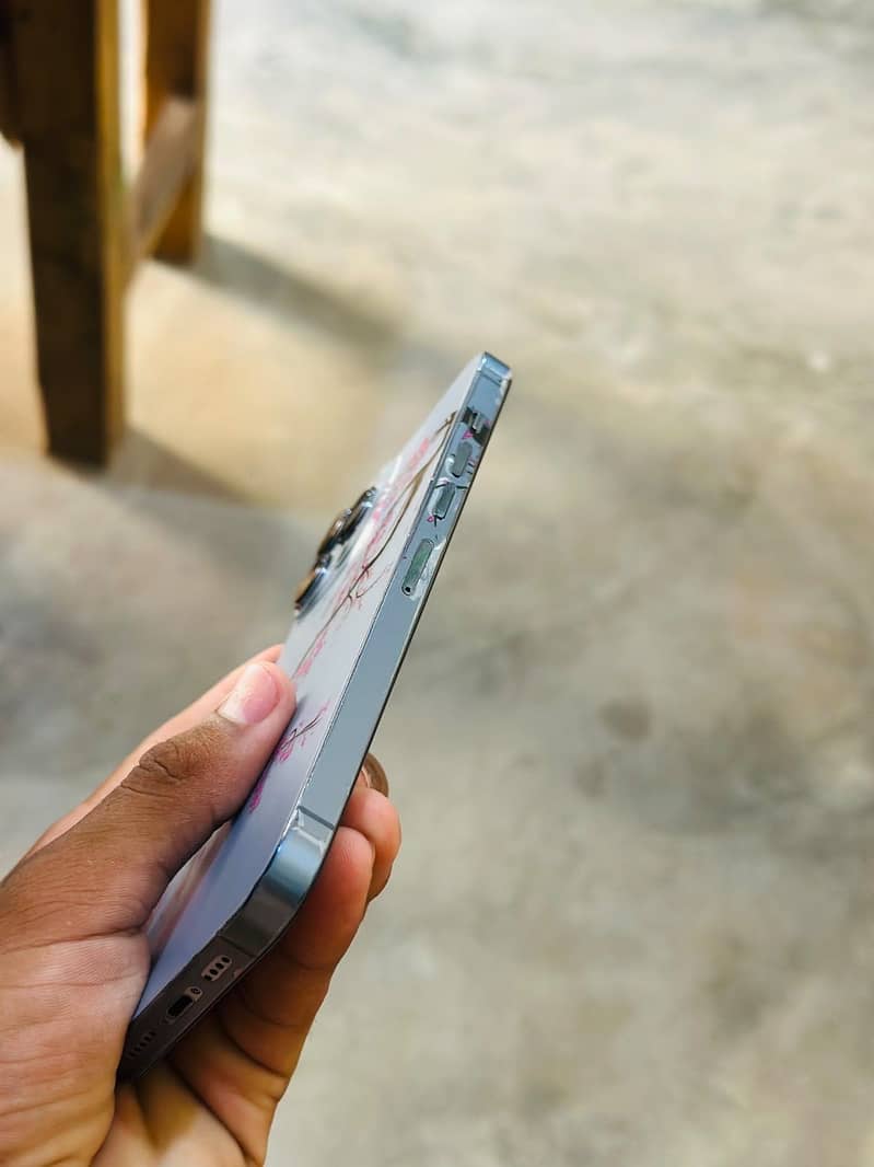 Apple iPhone 13 Pro Max 3