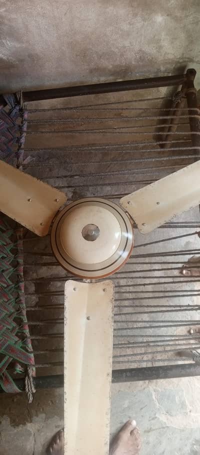 universal fan03065880419