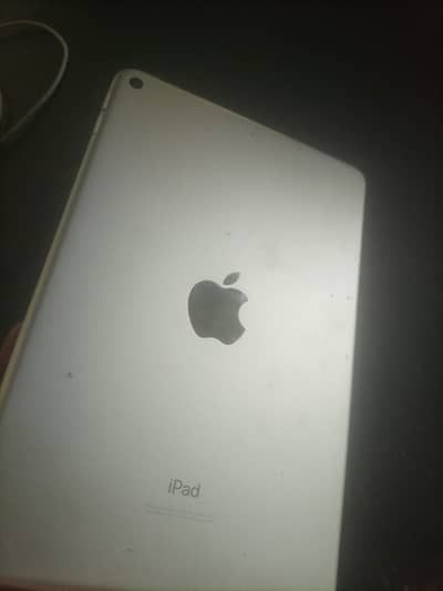 ipad mini 5 urgent sale only 45k