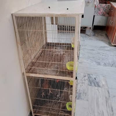 iron cage