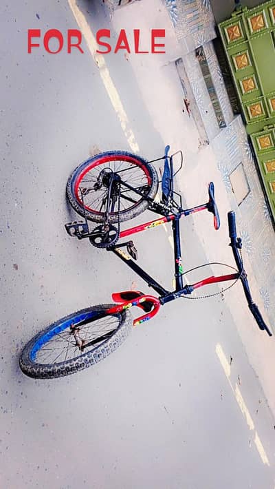 wheeling cycle