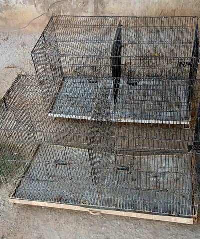 Hen Cage