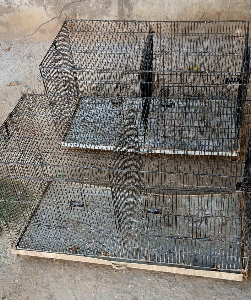 Hen Cage 0