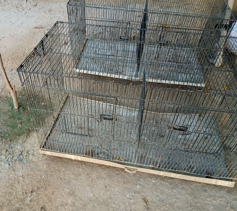 Hen Cage — photo 2