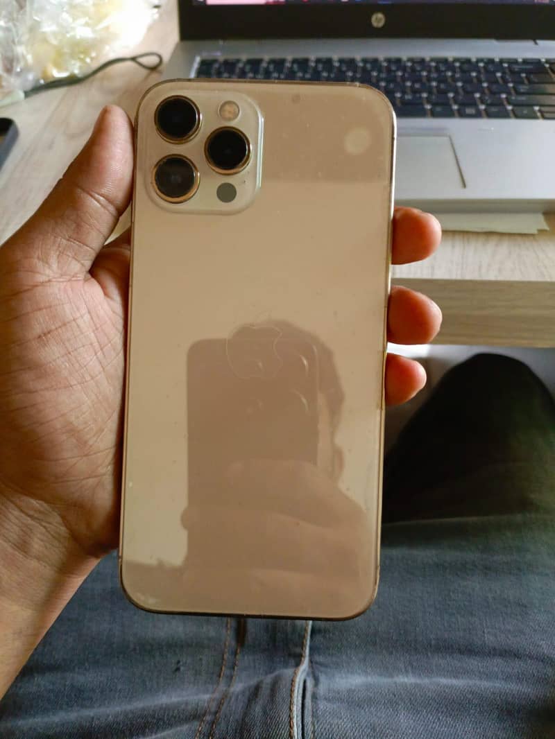 Apple iPhone 12 Pro Max 1