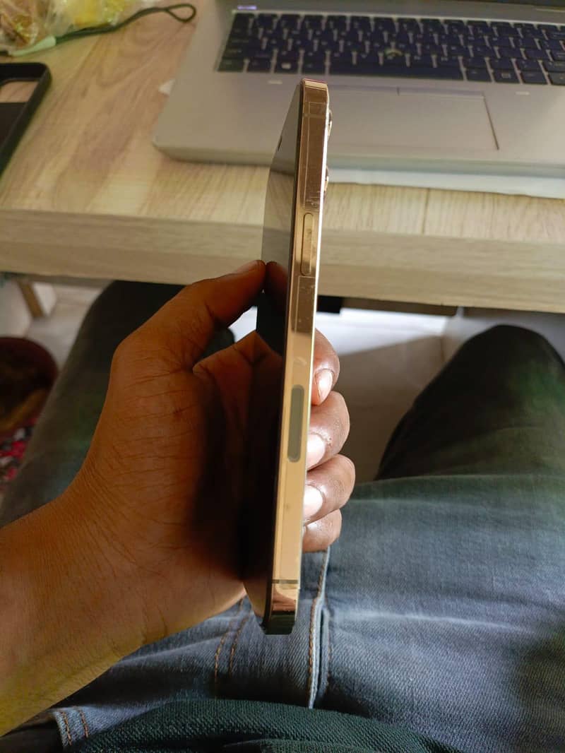 Apple iPhone 12 Pro Max 2