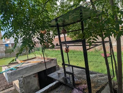 2 cage for sale