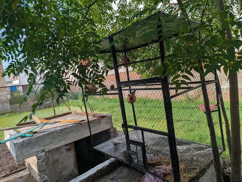 2 cage for sale — photo 2