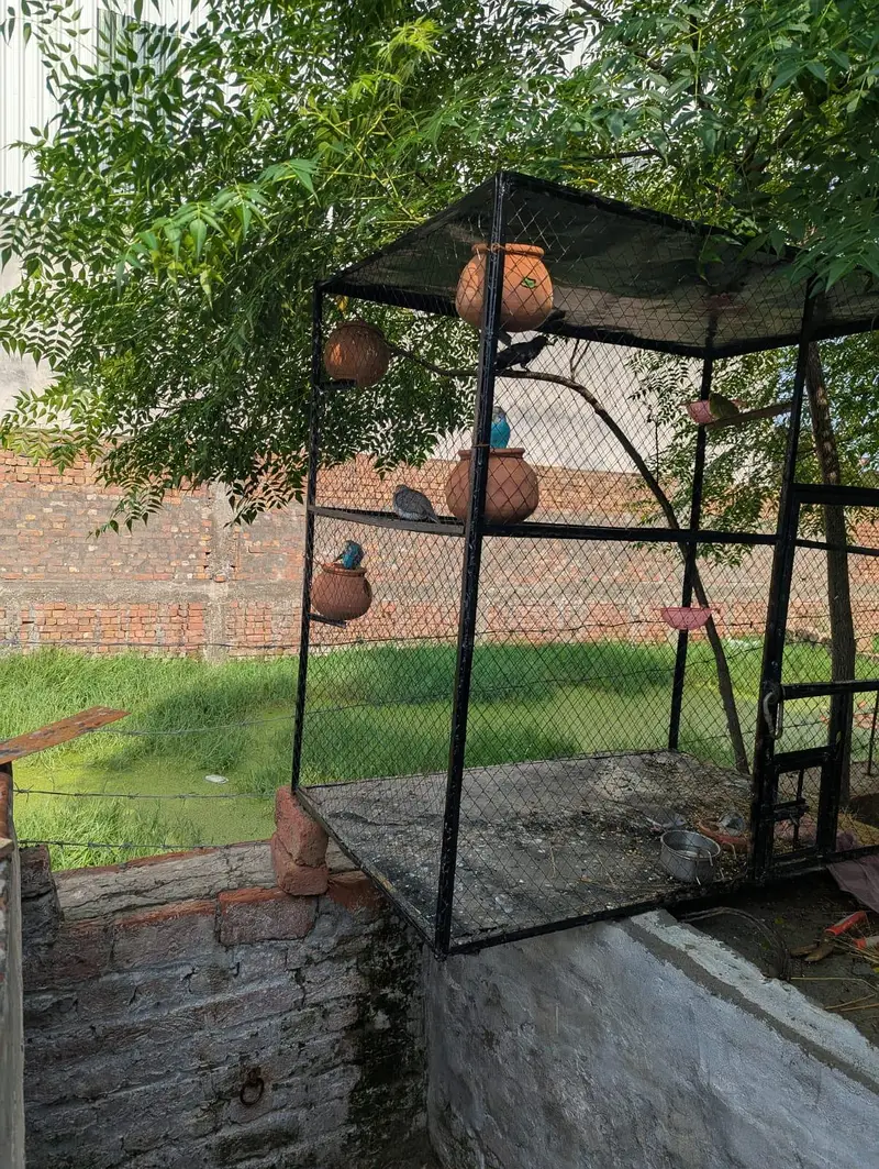 2 cage for sale — photo 3