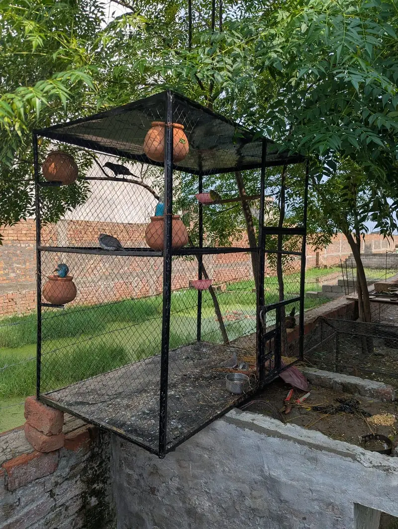2 cage for sale — photo 4