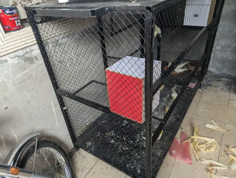 2 cage for sale — photo 5