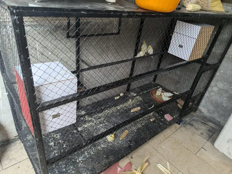 2 cage for sale — photo 7