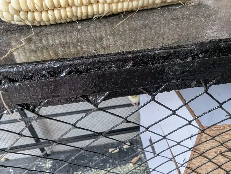 2 cage for sale — photo 8