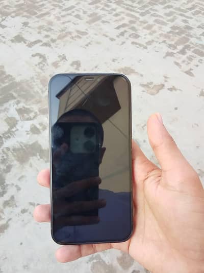Apple iPhone 12 Pro