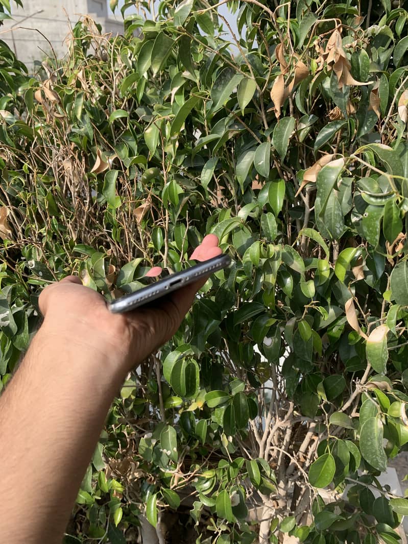 Apple iPhone 8 Plus 3