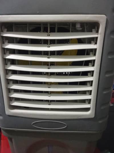 new cooler