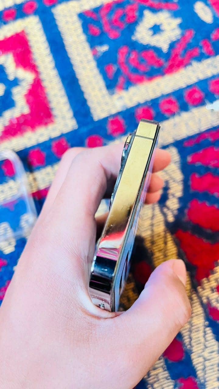Apple iPhone 13 Pro 1