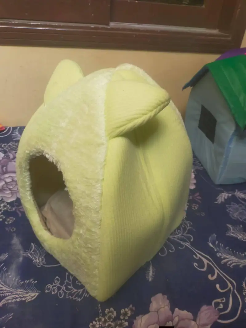 new cat houses for sale imported — photo 7