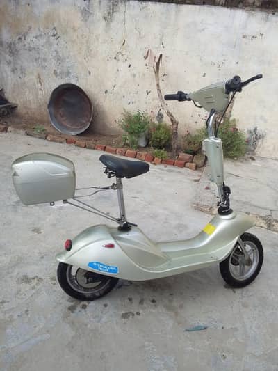 scooty