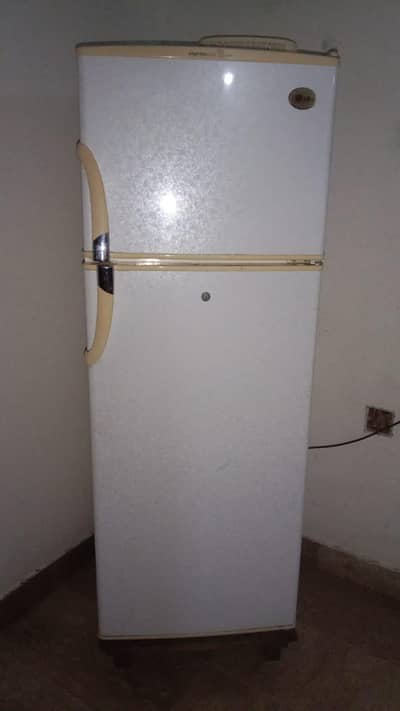 Refrigerator for a sell