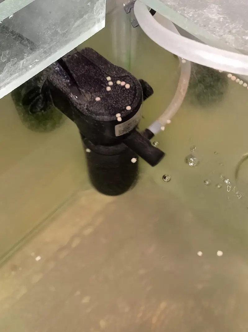 Aquarium with table stand and water filter for sale — photo 2