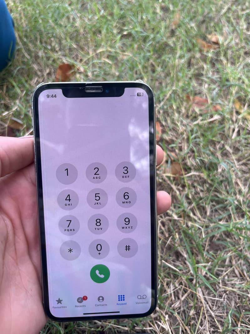 Apple iPhone X 1