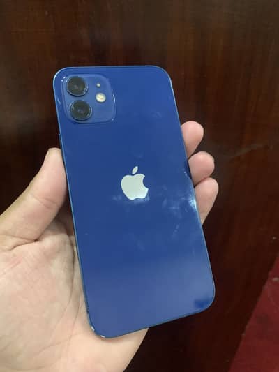 iPhone 12 waterproof