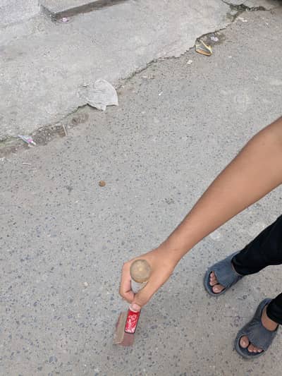 coconut bat