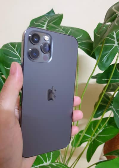 Apple iPhone 12 Pro