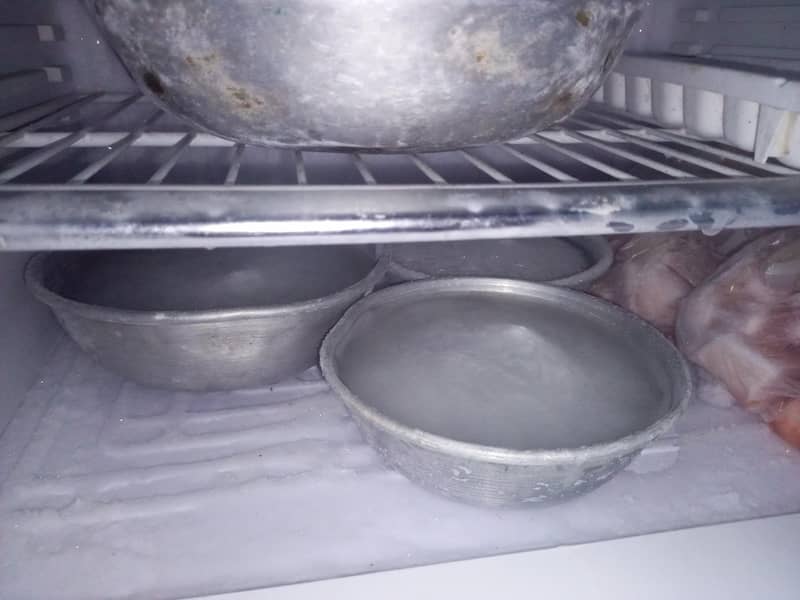 fridge 1