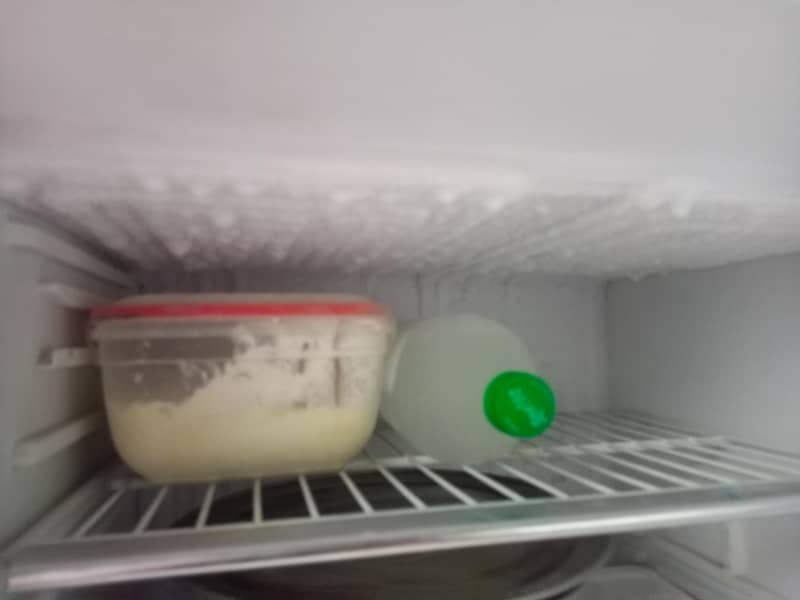 fridge 2